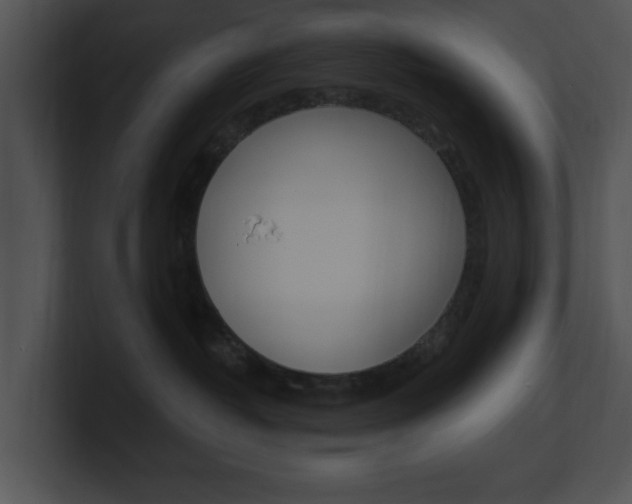 X0000100960382200806241148