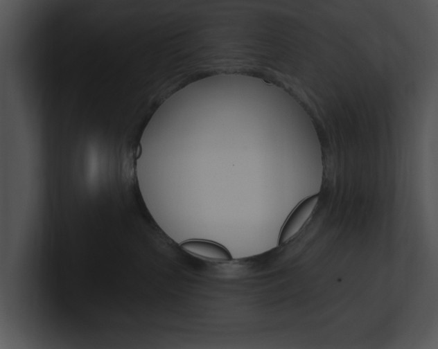 X0000100960383200806241148