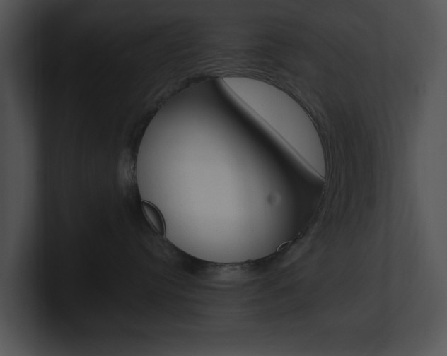 X0000100960384200806241148