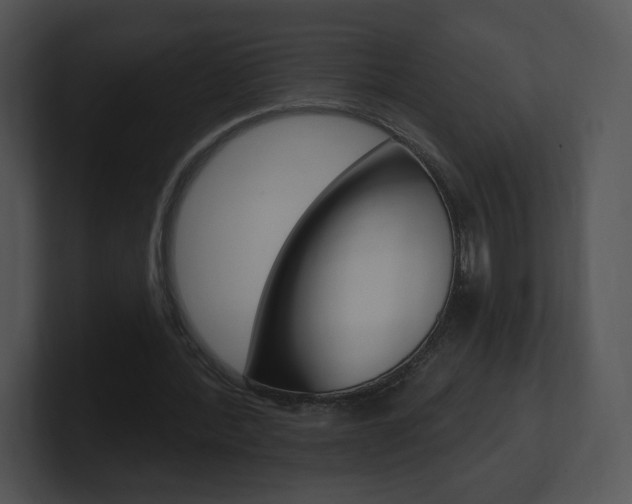 X0000100960388200806241148