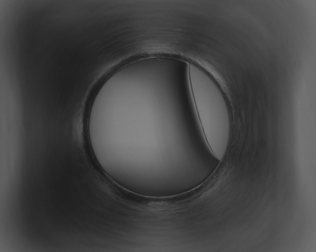 X0000100960391200806241147