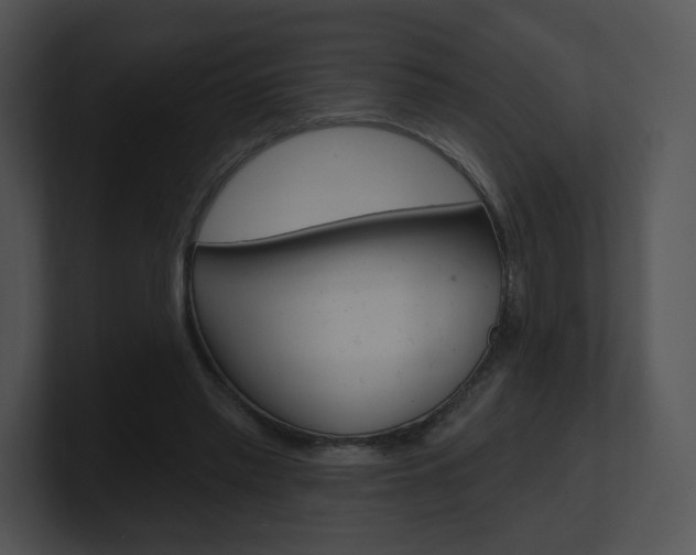 X0000100960397200806241147