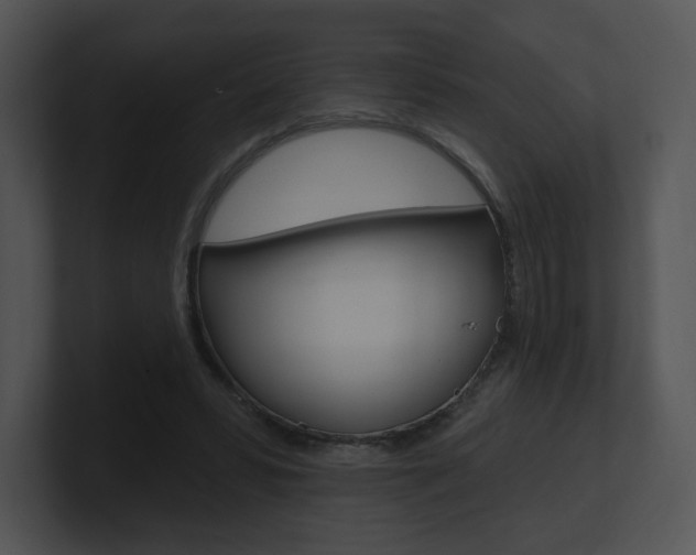 X0000100960399200806241147