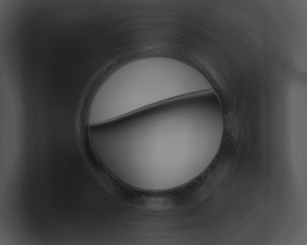 X0000100960400200806241147
