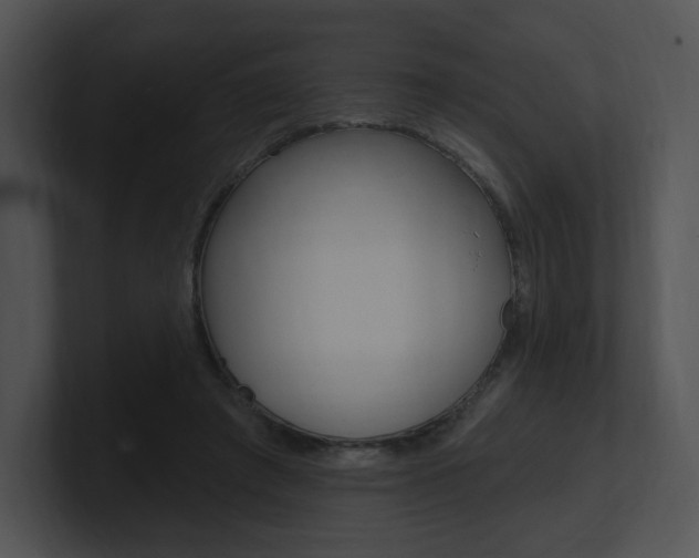 X0000100960401200806241147