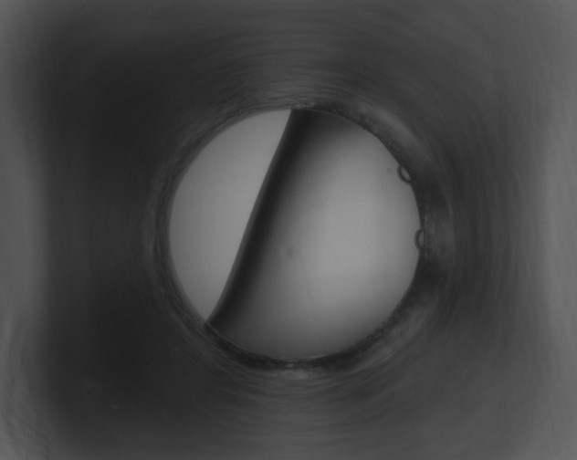 X0000100960404200806241147