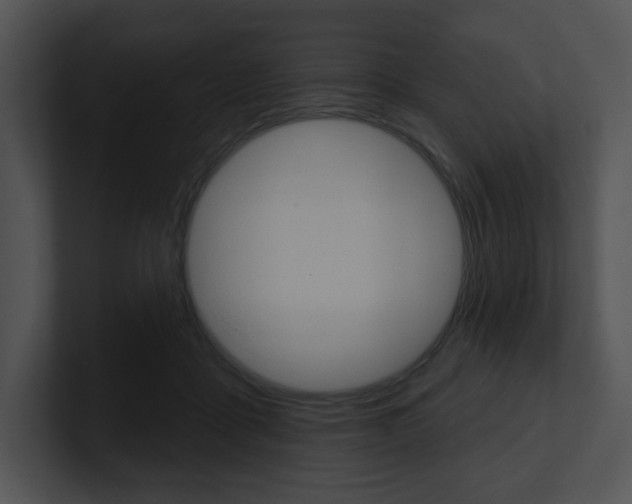 X0000100960411200806241147