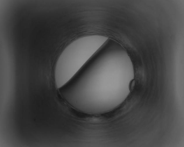 X0000100960412200806241147