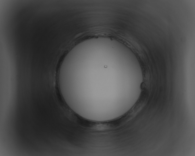 X0000100960413200806241147