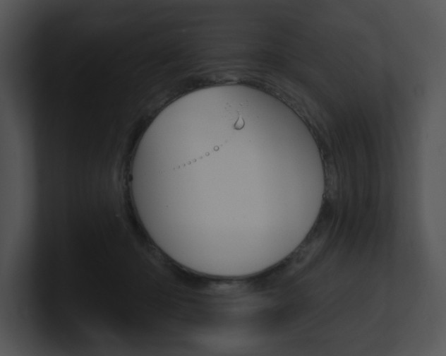 X0000100960414200806241147