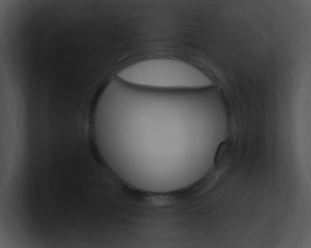 X0000100960417200806241147