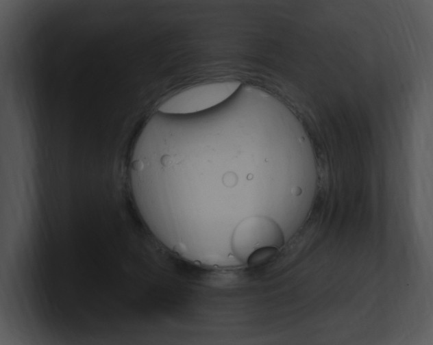 X0000100960418200806241147