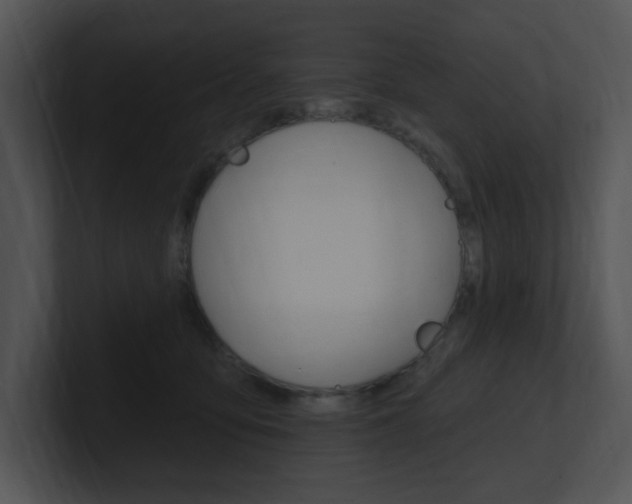 X0000100960419200806241147