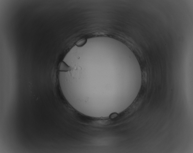 X0000100960422200806241147