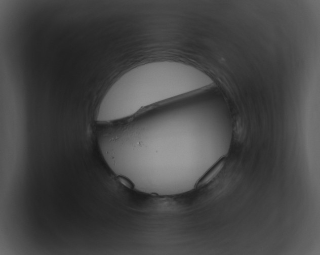 X0000100960424200806241147