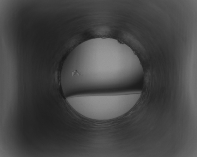 X0000100960428200806241147