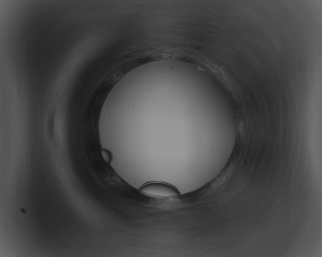 X0000100960429200806241147