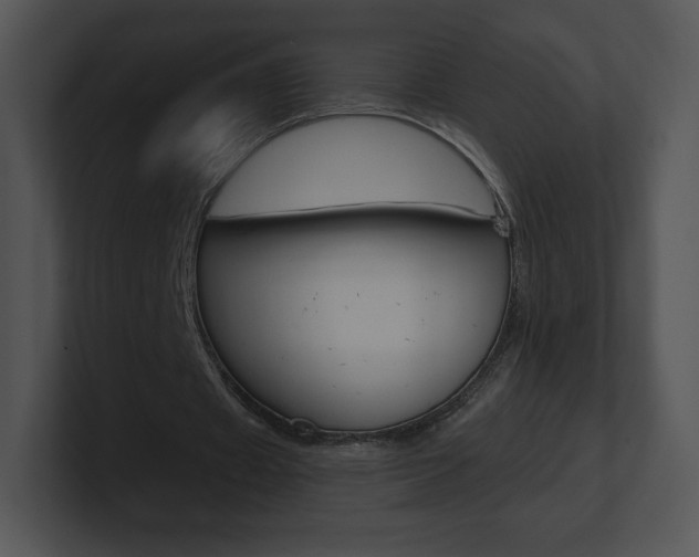 X0000100960433200806241146