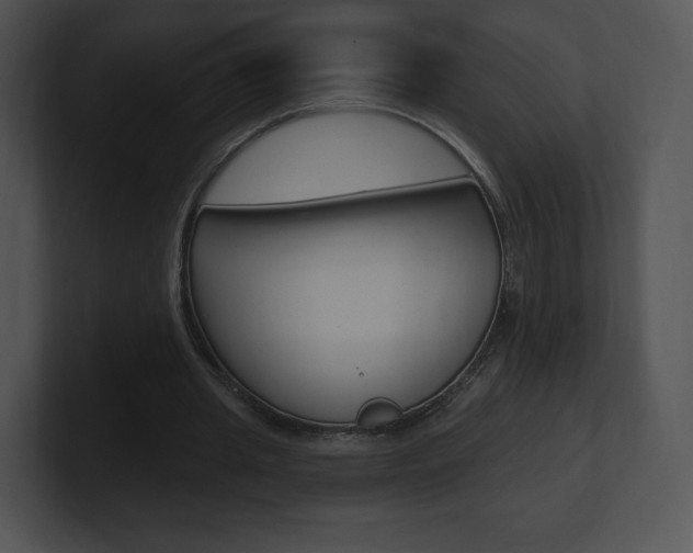 X0000100960437200806241146
