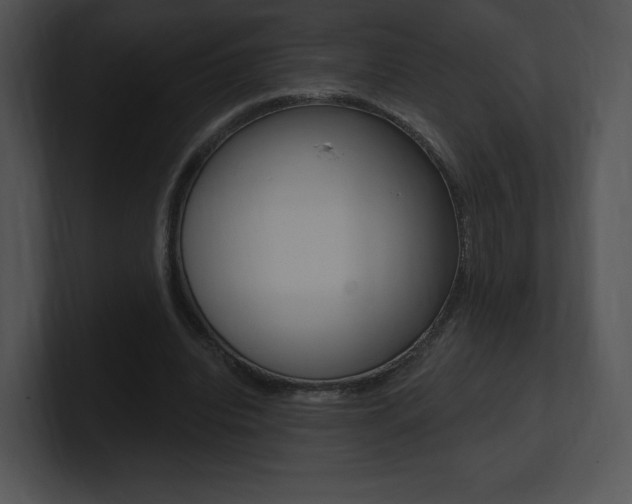 X0000100960440200806241146