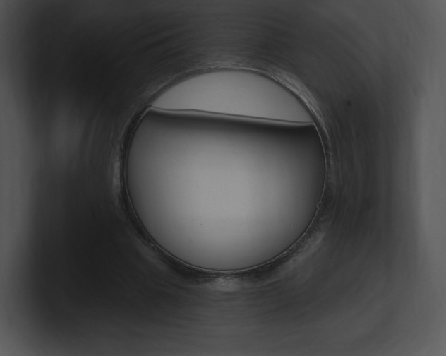 X0000100960441200806241146