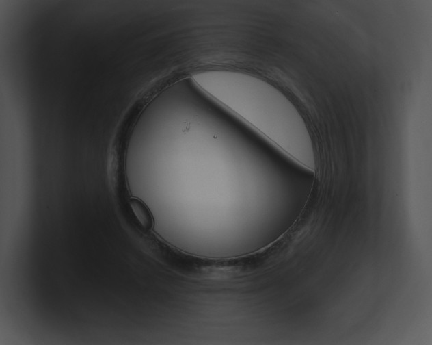 X0000100960448200806241147