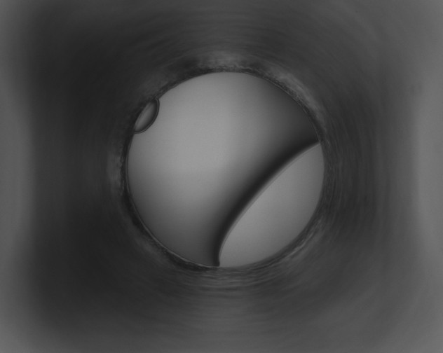 X0000100960449200806241147