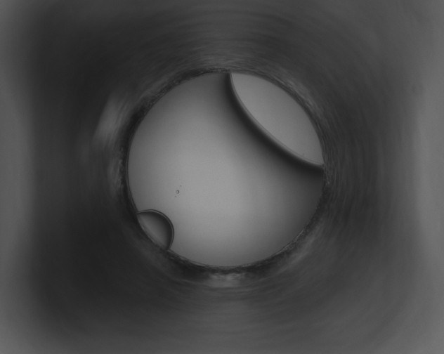 X0000100960450200806241147