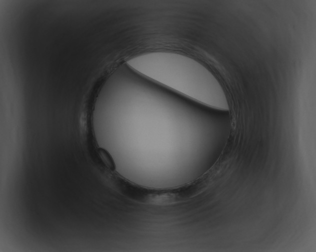 X0000100960452200806241147