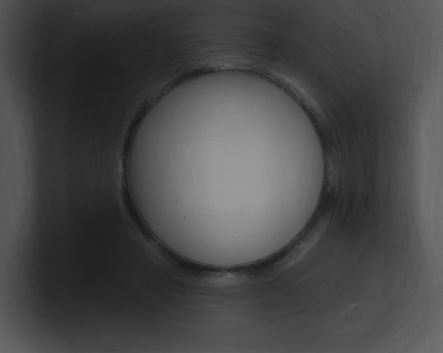 X0000100960453200806241147