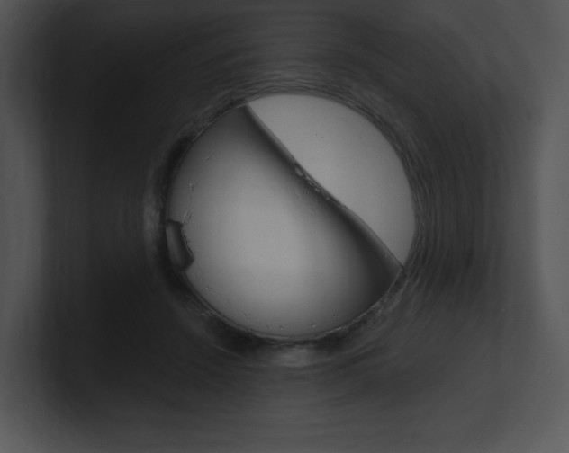 X0000100960456200806241147