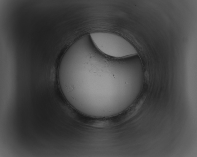 X0000100960458200806241147