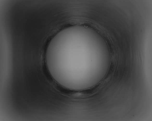 X0000100960460200806241147