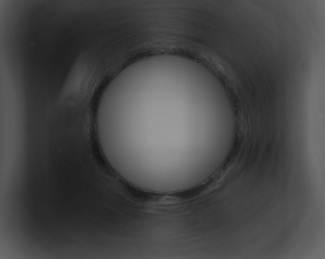 X0000100960463200806241147
