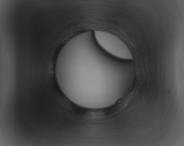 X0000100960466200806241147