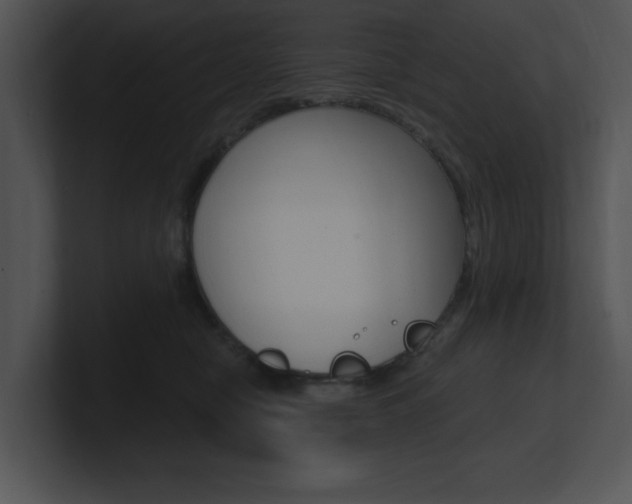 X0000100960470200806241147