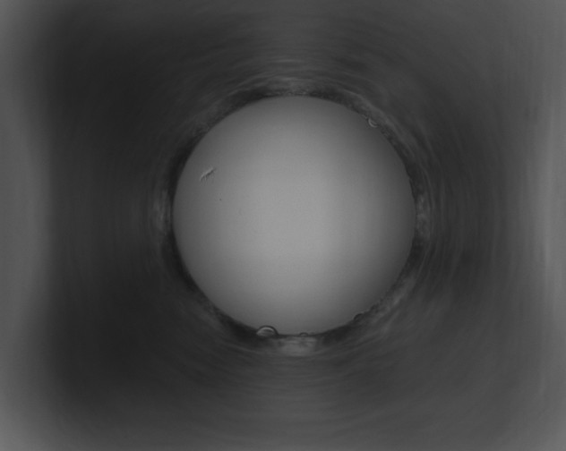 X0000100960474200806241147