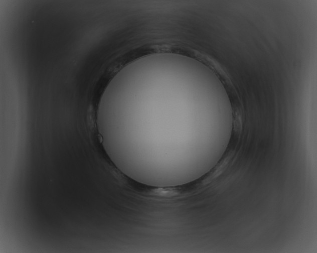 X0000100960477200806241147