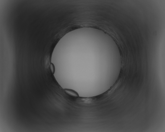 X0000100960478200806241147