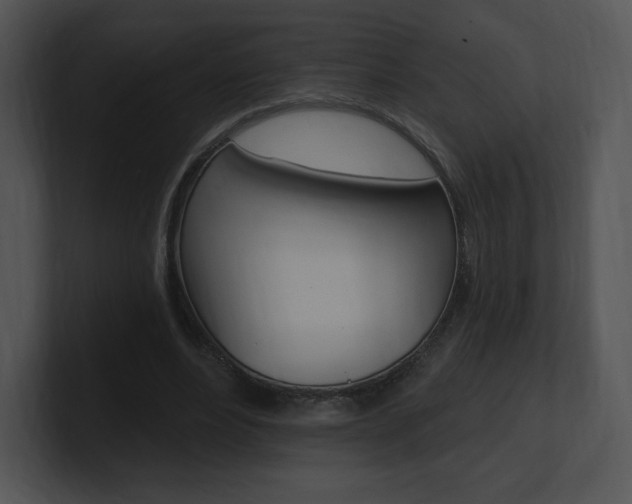 X0000100960488200806241146
