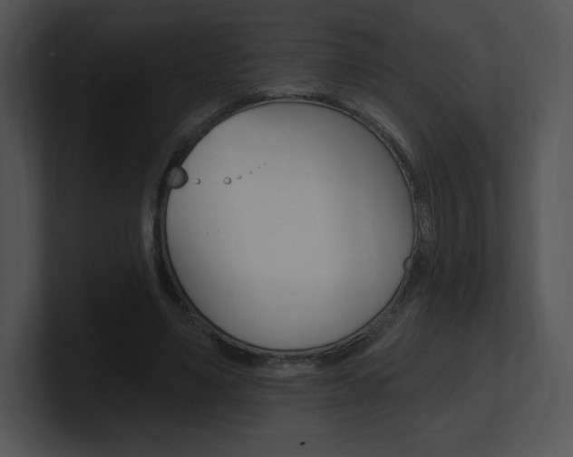 X0000100960491200806241146