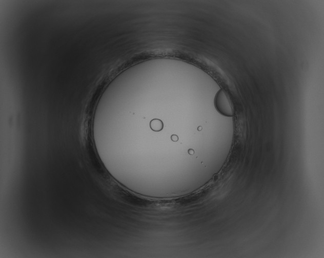 X0000100960495200806241146