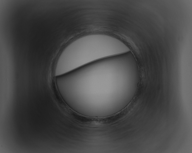 X0000100960496200806241146