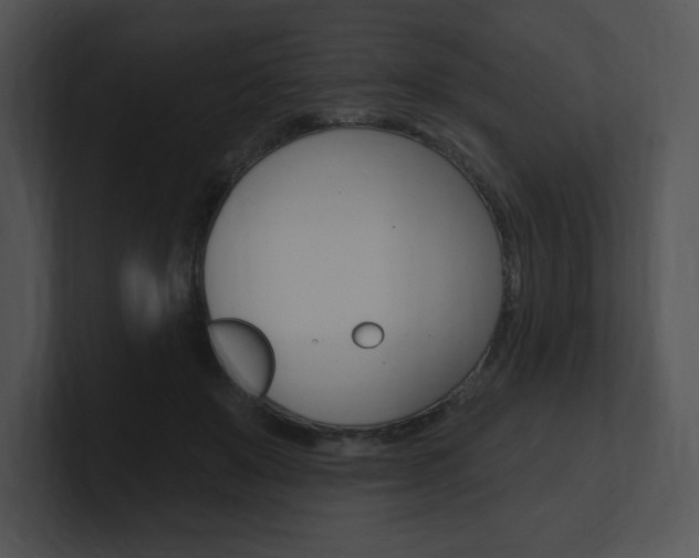 X0000100960503200806241146