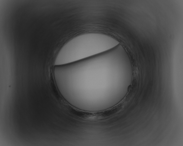 X0000100960504200806241146