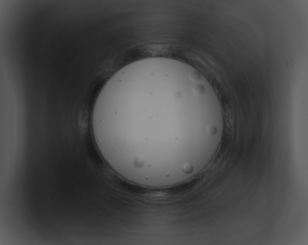 X0000100960507200806241146