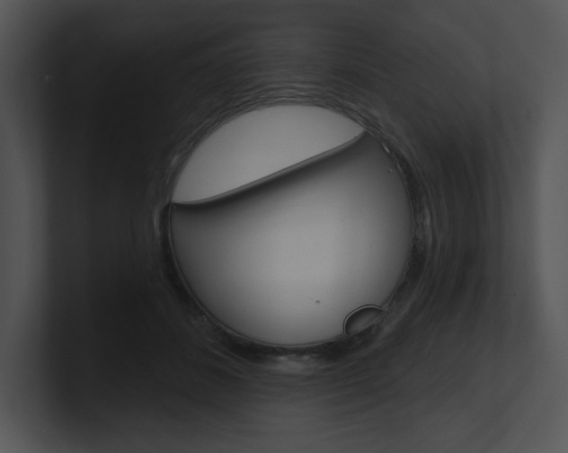 X0000100960508200806241146