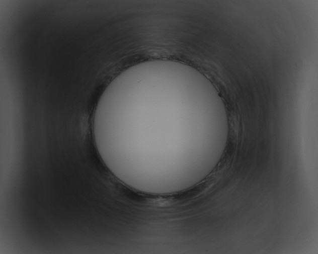 X0000100960511200806241146