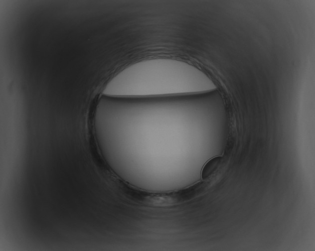 X0000100960512200806241146