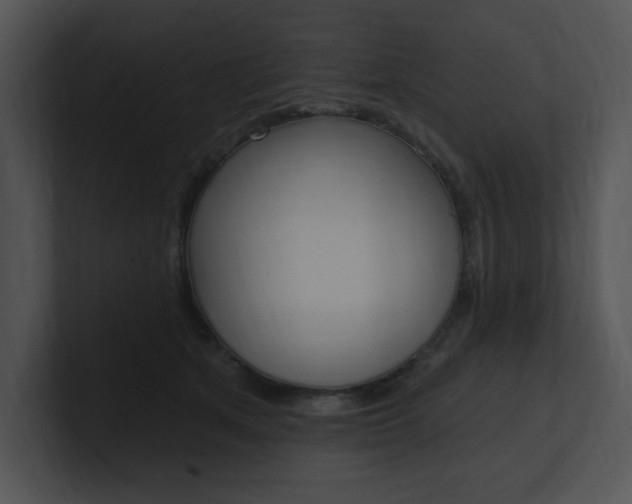 X0000100960513200806241146